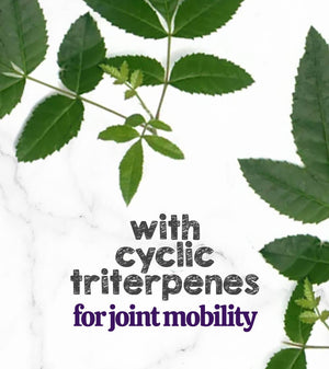 Austin and Kat Mobility Support CBD Soft Chew for dogs featured ingredient boswellia with cyclic triterpenes for joint mobility.