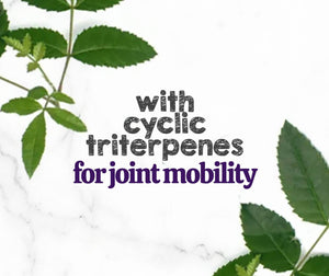 Austin and Kat Mobility Support CBD Soft Chew for dogs featured ingredient boswellia with cyclic triterpenes for joint mobility.