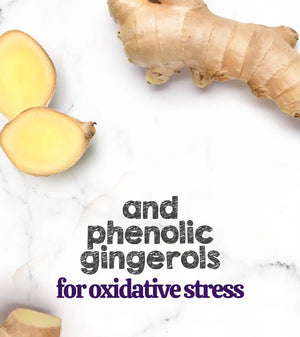 Austin and Kat Mobility Support CBD Soft Chew for dogs featured ingredient ginger brings phenolic ginerols for oxidative stress.