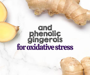 Austin and Kat Mobility Support CBD Soft Chew for dogs featured ingredient ginger brings phenolic ginerols for oxidative stress.