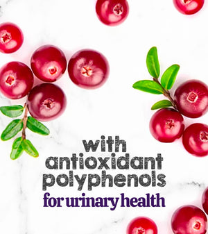 Austin and Kat CBD Soft Chew for Senior dogs featured ingredients cranberry’s antioxidant polyphenols support urinary health.