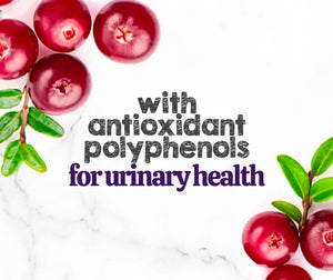 Austin and Kat CBD Soft Chew for Senior dogs featured ingredients cranberry’s antioxidant polyphenols support urinary health.