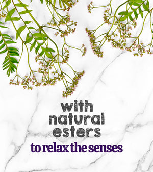 Austin and Kat CBD Soft Chew for anxious dogs featured ingredients valerian root provides natural esters to relax the senses.