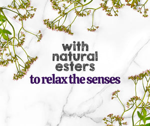 Austin and Kat CBD Soft Chew for anxious dogs featured ingredients valerian root provides natural esters to relax the senses.