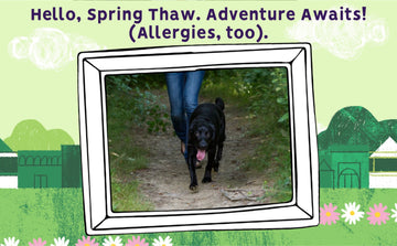 Kat and Austin enjoy a springtime walk