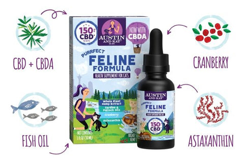 CBD Oil for Cats Austin and Kat Purrfect Feline Formula