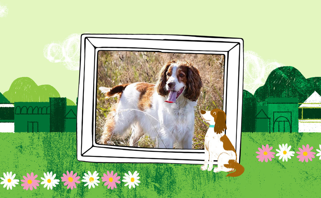 Austin and Kat's Bailey's No More Wiggles