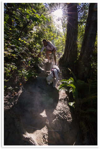 Walking down the cliff