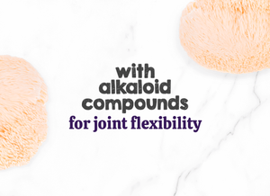 Austin and Kat Aging Dog botanical supplement powder featured ingredient lion’s mane mushroom provides alkaloid compounds for joint flexibility.