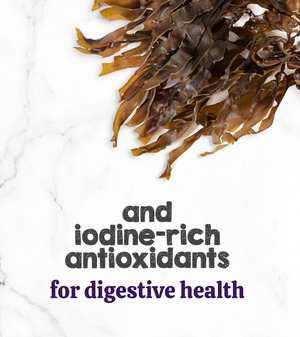 Austin and Kat Feline Support for cats botanical topper featured ingredient kelp provides iodine-rich antioxidants for digestive health. 