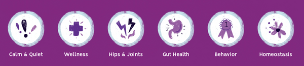 turmeric for dogs - benefits