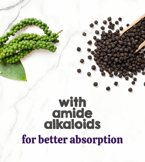 Austin and Kat CBD Oil for Dogs and Cats featured ingredients black pepper fruit (piperine) with amide alkaloids for better absorption