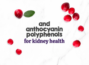 Austin and Kat Feline Support CBD Oil for cats featured ingredient cranberry extract brings anthocyanin polyphenols for kidney health.