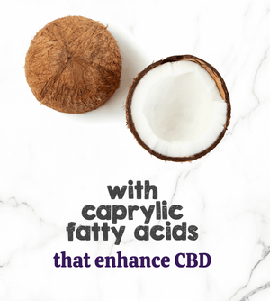 Austin and Kat CBD Hemp Chews for Dogs featured ingredients organic coconut oil with caprylic fatty acids to enhance CBD