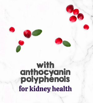 Austin and Kat Feline Support CBD Oil for cats featured ingredient cranberry extract brings anthocyanin polyphenols for kidney health.