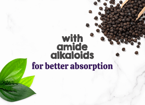 Austin and Kat CBD Oil for Dogs and Cats featured ingredients black pepper fruit (piperine) with amide alkaloids for better absorption