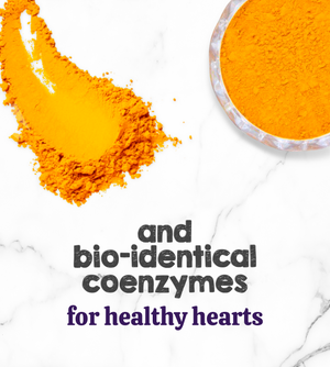 Austin and Kat CBD Oil for Dogs and Cats featured ingredients CoQ10 adds bio-identical coenzymes for healthy hearts