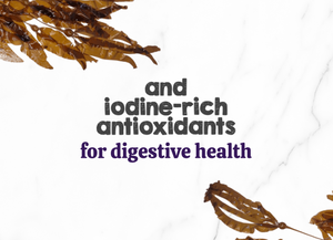 Austin and Kat Feline Support for cats botanical topper featured ingredient kelp provides iodine-rich antioxidants for digestive health. 