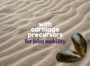 Austin and Kat mobility support botanical topper for dogs and cats featured ingredient green lipped mussel with cartilage precusors for joint mobility.