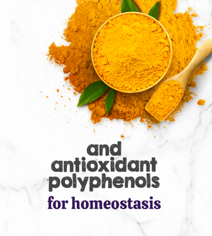 Austin and Kat CBD Hemp Chews for Dogs featured ingredients optimized turmeric extract with antioxidant polyphenols for homeostasis