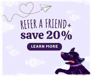 Cartoon dog with a paper airplane promoting Austin and Kat's 20% off referral program - give 20%, get 20% when you share us with your pack!