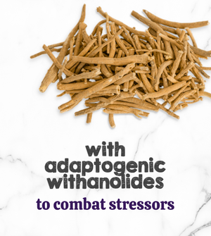 Austin and Kat Senior Dog botanical topper featured ingredient ashwagandha with adaptogenic withanolides helps combat stressors.