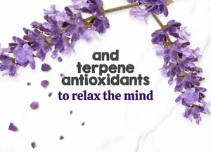 Austin and Kat CBD Oil for Dogs and Cats featured ingredients lavender’s terpene antioxidants help relax the mind.