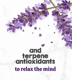 Austin and Kat CBD Oil for Dogs and Cats featured ingredients lavender’s terpene antioxidants help relax the mind.